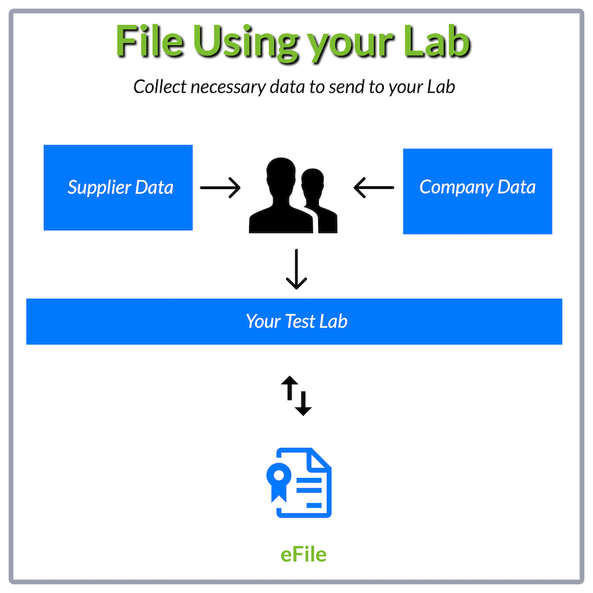 Using your Lab to eFIle